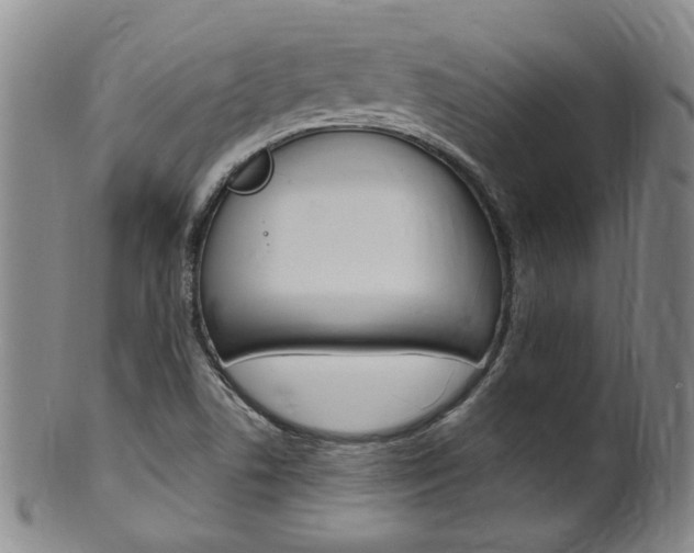 X0000101651506200807100927