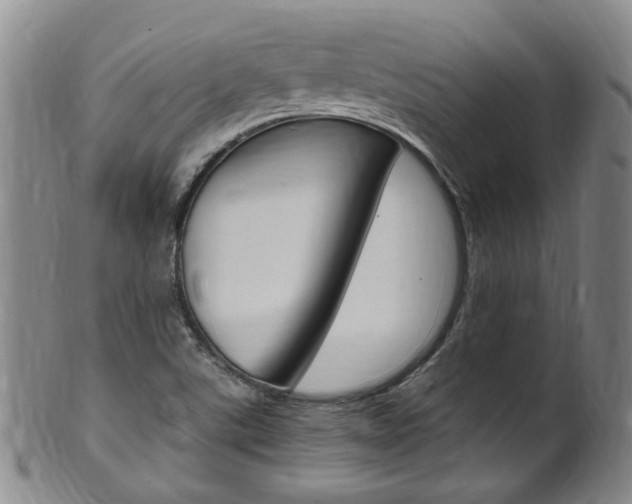 X0000101651507200807100927