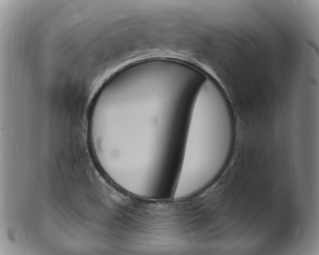 X0000101651508200807100927