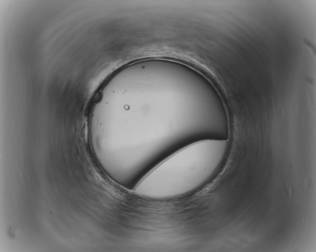 X0000101651509200807100927