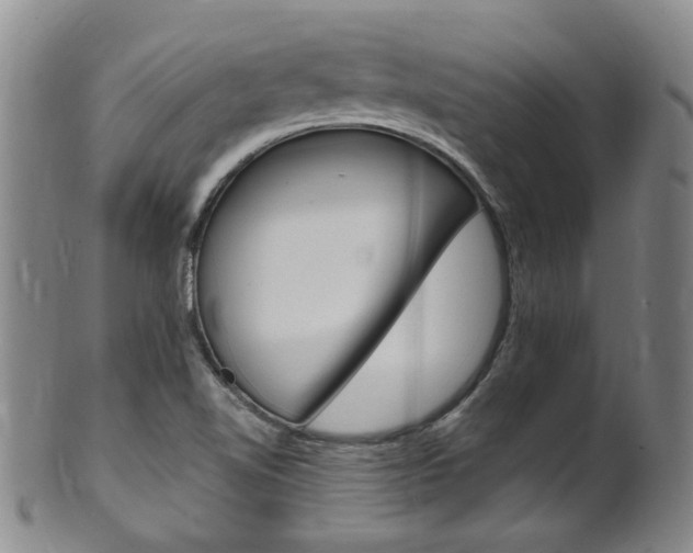 X0000101651510200807100927