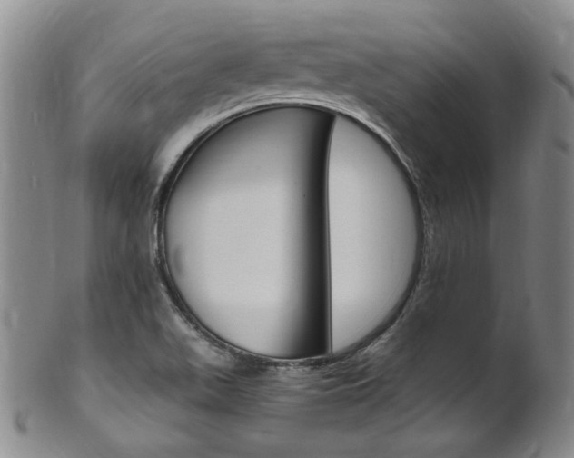 X0000101651511200807100927