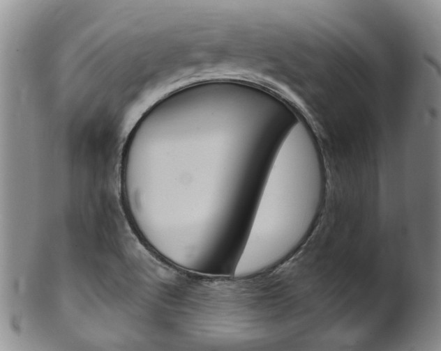 X0000101651512200807100927