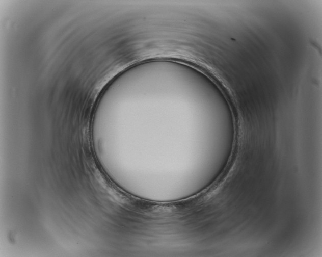 X0000101651513200807100927