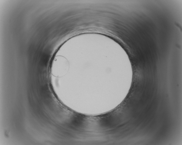X0000101651514200807100927