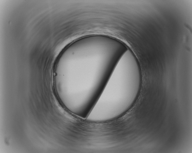 X0000101651515200807100927
