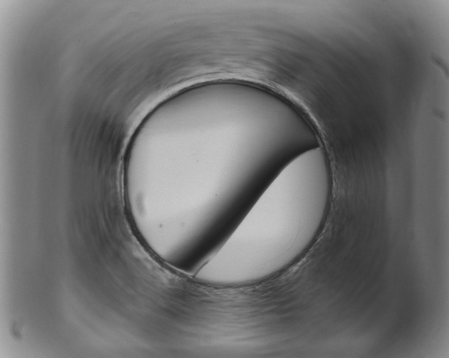 X0000101651516200807100927
