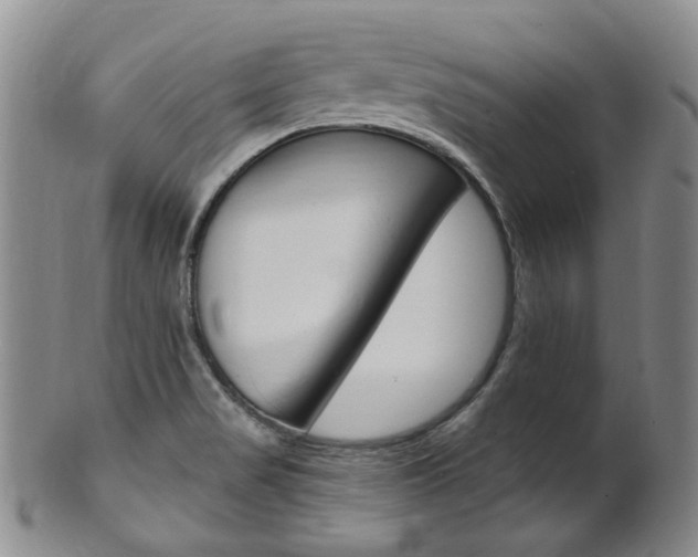 X0000101651517200807100927