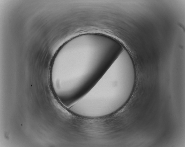X0000101651518200807100927