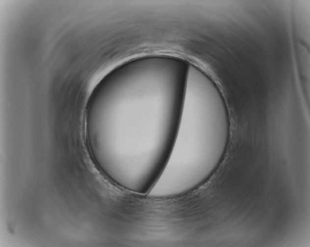 X0000101651520200807100927