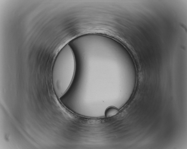 X0000101651521200807100927
