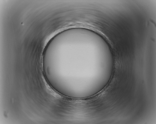 X0000101651522200807100927