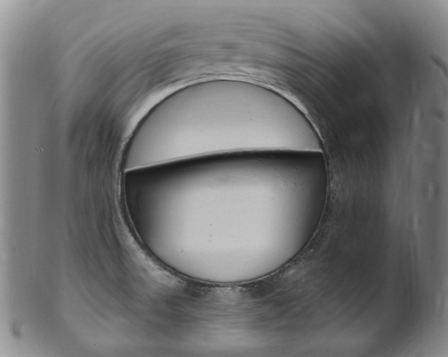 X0000101651523200807100927