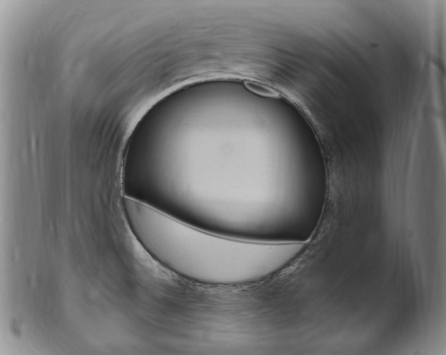 X0000101651524200807100927