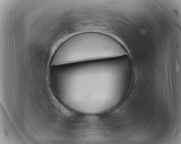 X0000101651525200807100927
