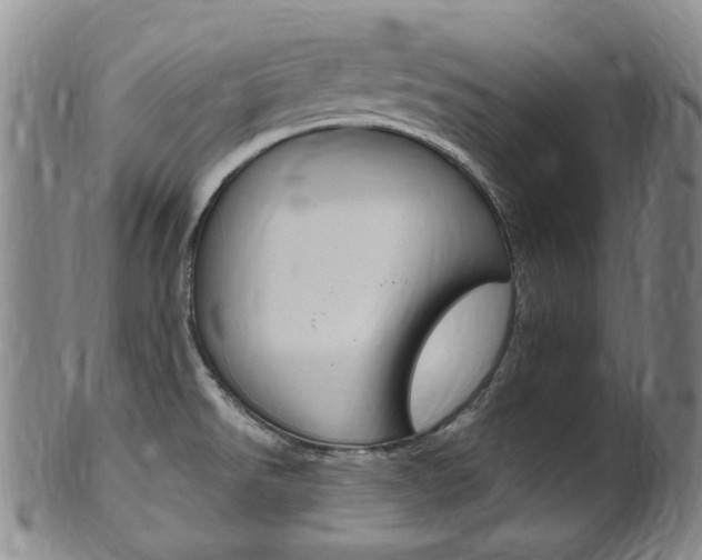 X0000101651526200807100927