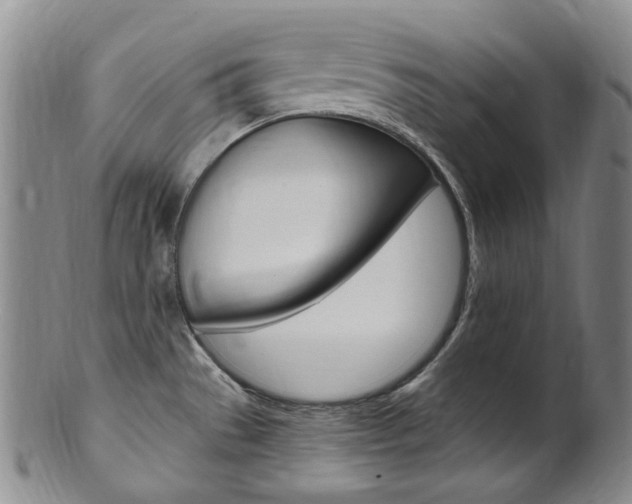 X0000101651529200807100927