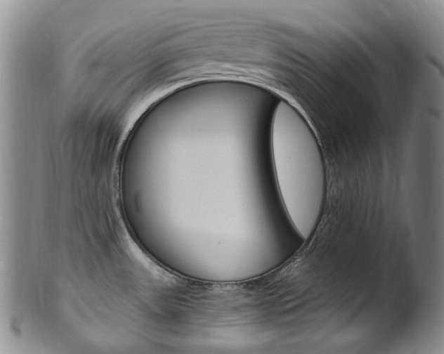 X0000101651531200807100927