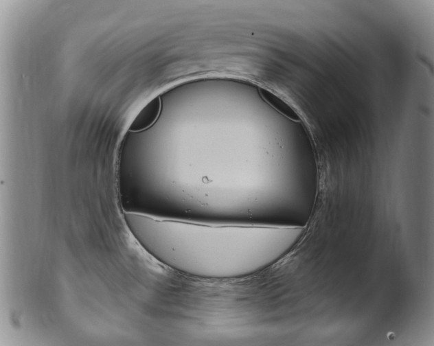 X0000101651532200807100927