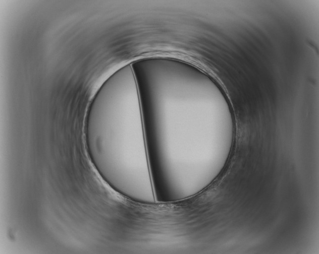 X0000101651533200807100927