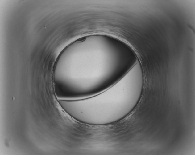 X0000101651534200807100927