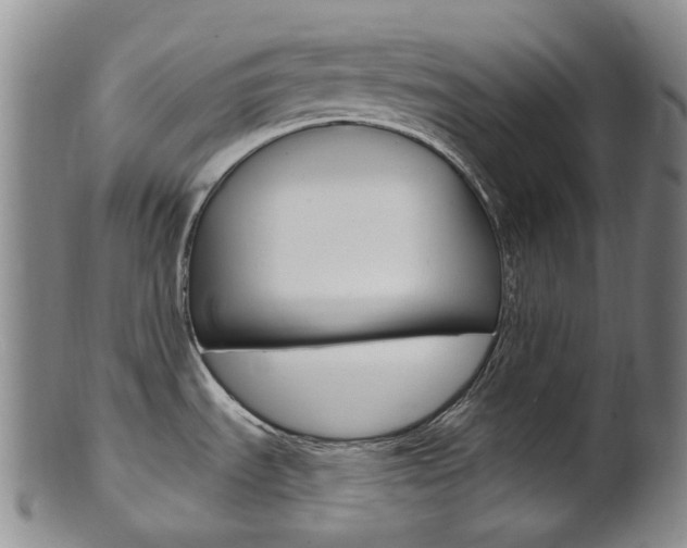 X0000101651535200807100927