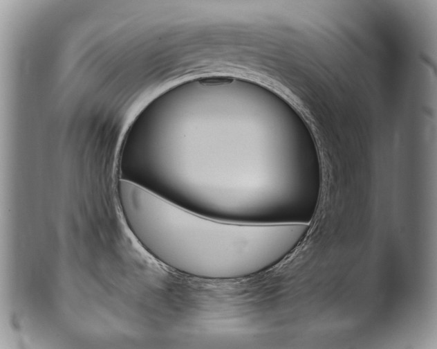 X0000101651536200807100927