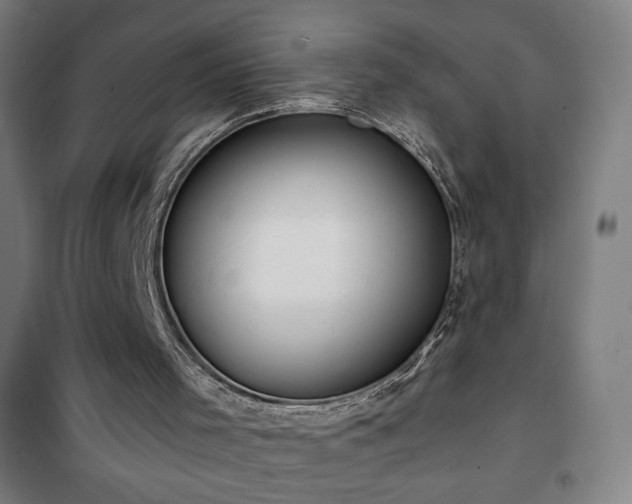 X0000101650001200807101242