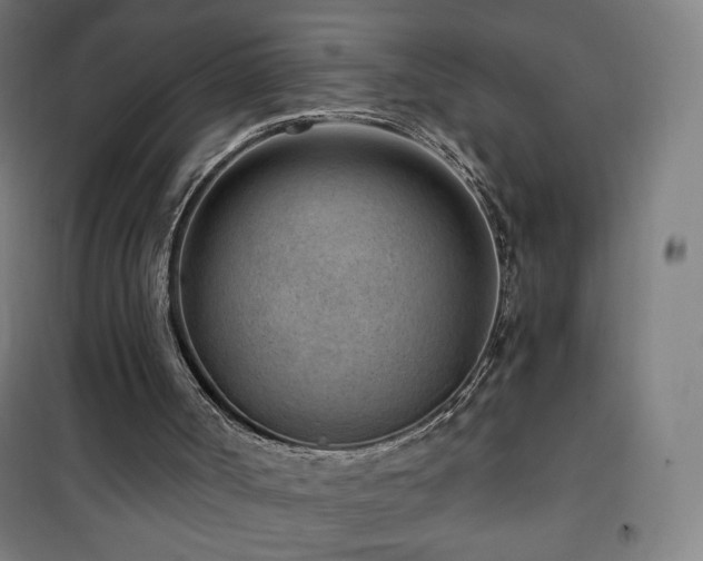 X0000101650002200807101242