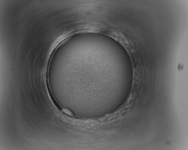 X0000101650003200807101242