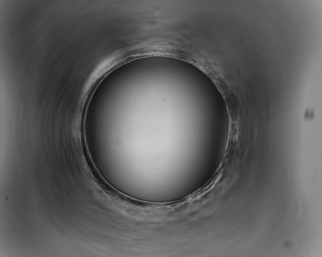 X0000101650004200807101242