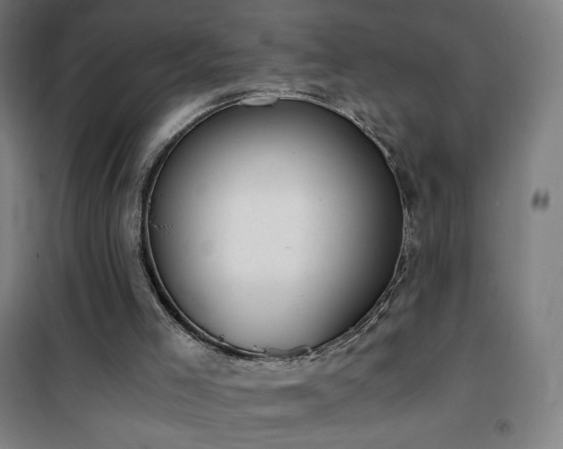 X0000101650005200807101242