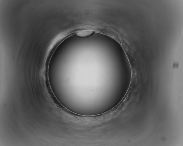 X0000101650006200807101242