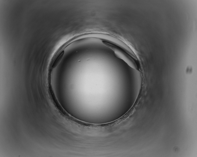 X0000101650008200807101242