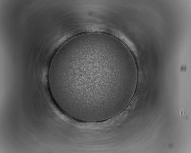 X0000101650009200807101242