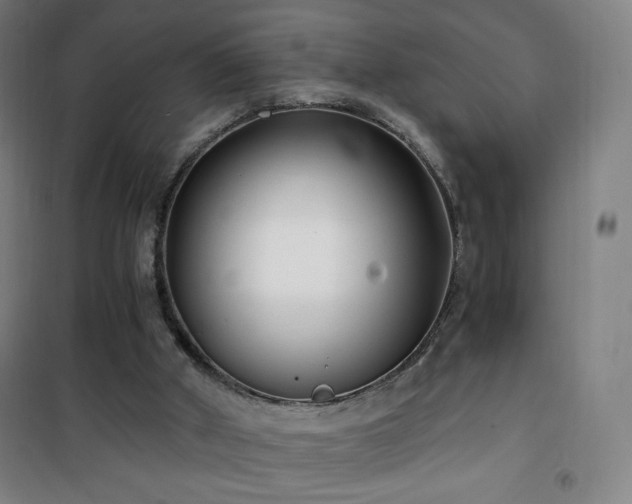 X0000101650010200807101242