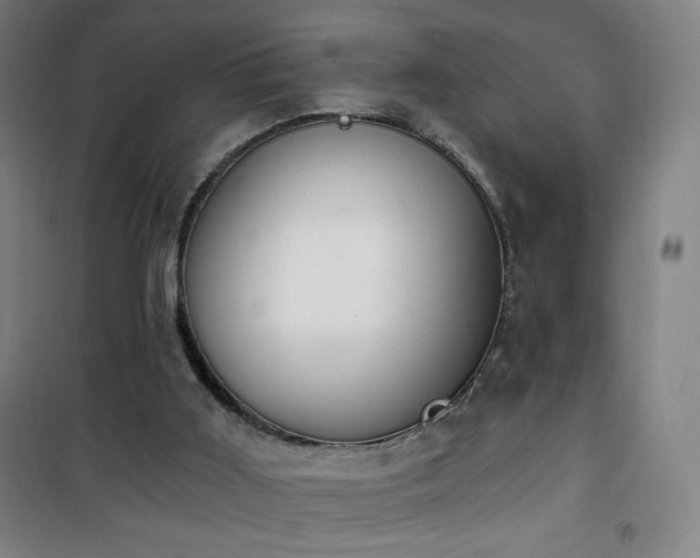 X0000101650011200807101242