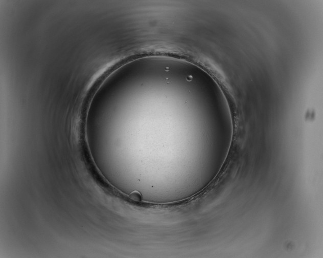 X0000101650012200807101242