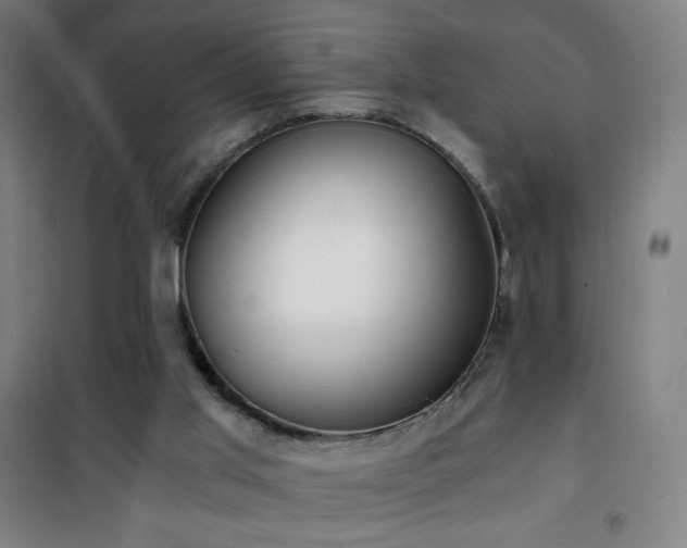 X0000101650013200807101242