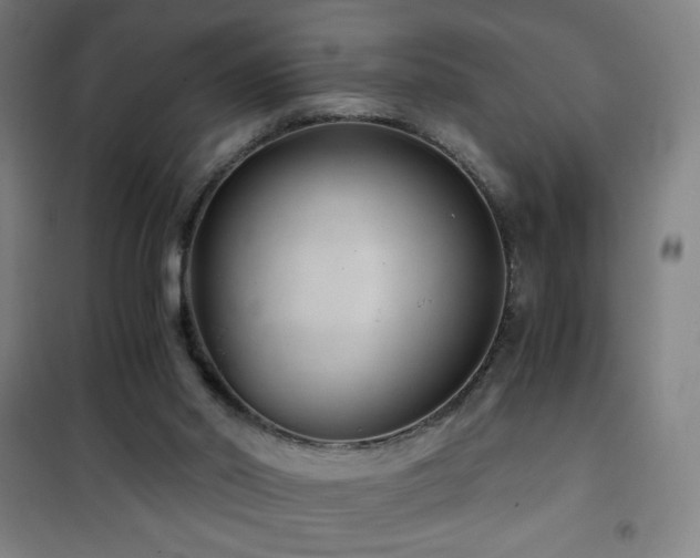 X0000101650014200807101242