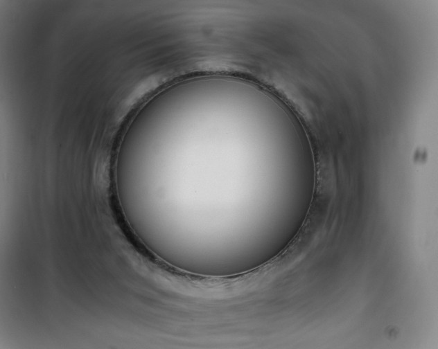 X0000101650015200807101242