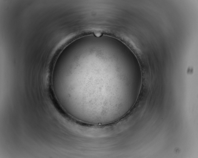 X0000101650016200807101242