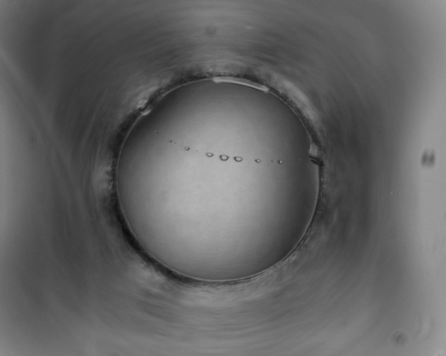 X0000101650017200807101242