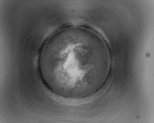 X0000101650018200807101242