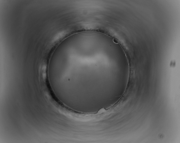 X0000101650019200807101242