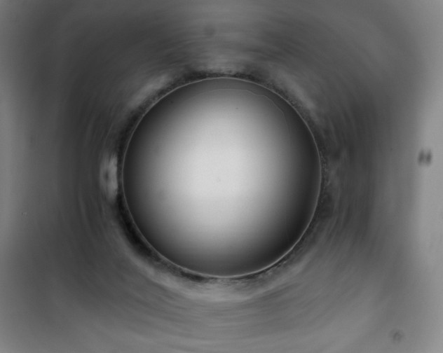 X0000101650020200807101242