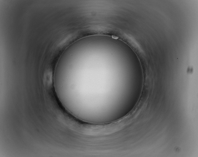 X0000101650021200807101242