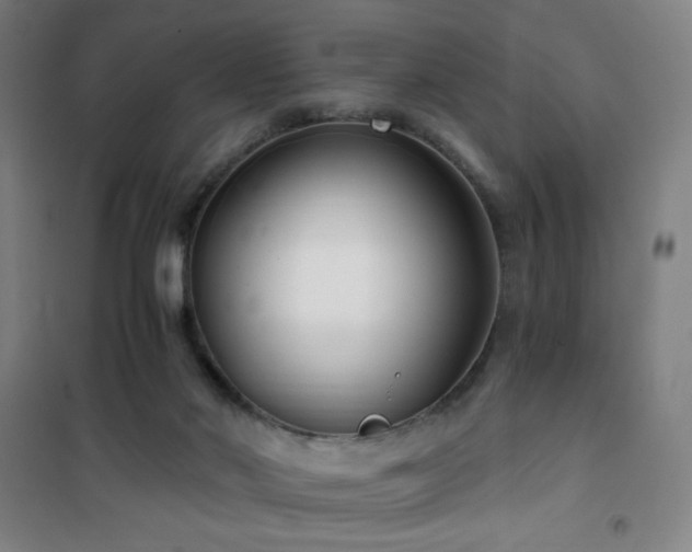 X0000101650022200807101242