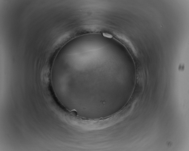 X0000101650023200807101242