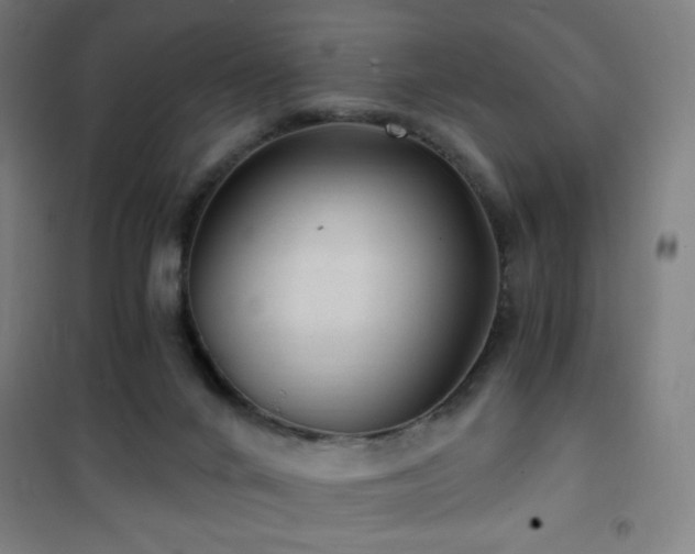 X0000101650024200807101242